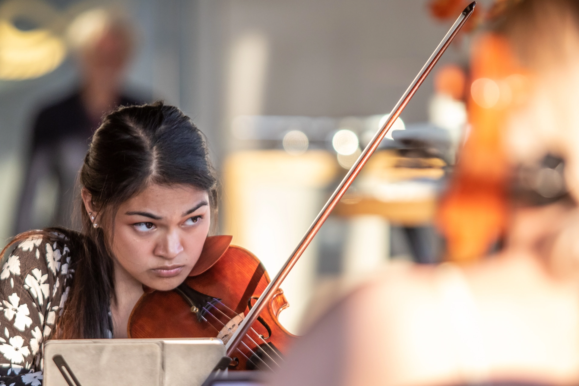 Bartok Viola Concerto